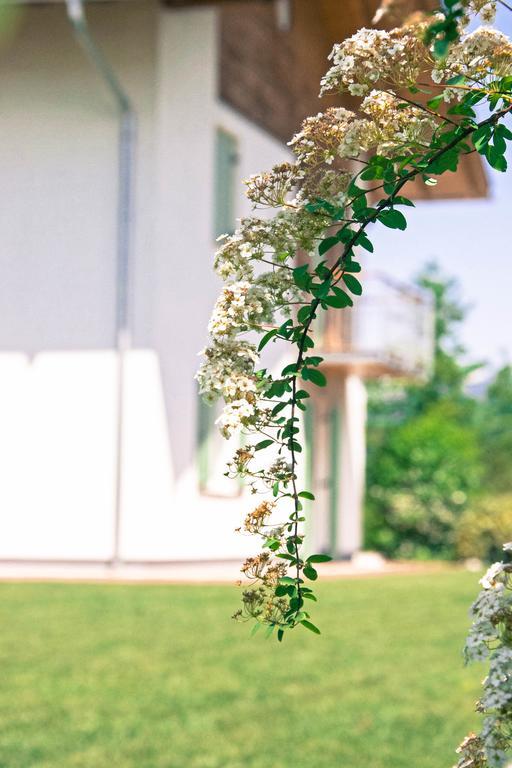 Agriturismo Locanda De L'Arguta Trento Luaran gambar